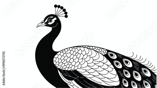 A striking black and white illustration of a peacock, showcasing its elegant plumage and distinctive crest in a graphic art style
