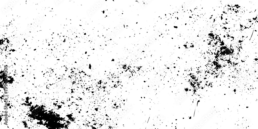 Fototapeta premium Black and White Distressed Grunge Texture with Gritty Ink Splatter Vector