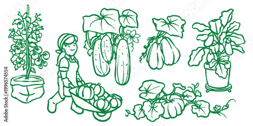Set of hand-drawn garden elements including tomatoes, cucumbers, and pumpkins. Ideal for urban farming guides, healthy eating infographics, and autumn harvest festival promotional designs.