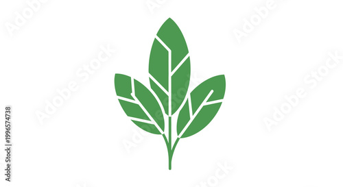 Green Leaf Illustration with White Veins.
