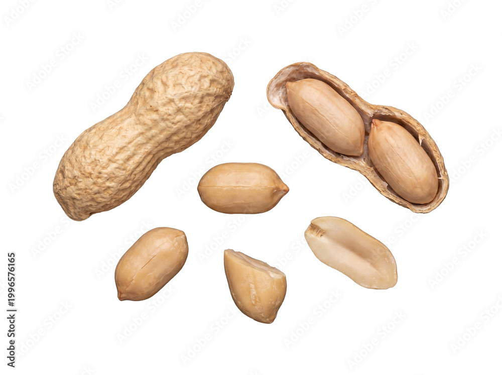 Obraz premium Arrangement of whole peanut in shell, cracked shell with kernels, and several loose nuts.