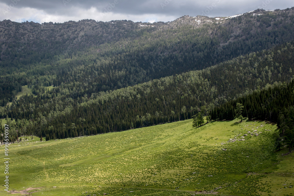 Fototapeta premium Landscape of Altai region, Xinjiang Uygur Autonomous Region