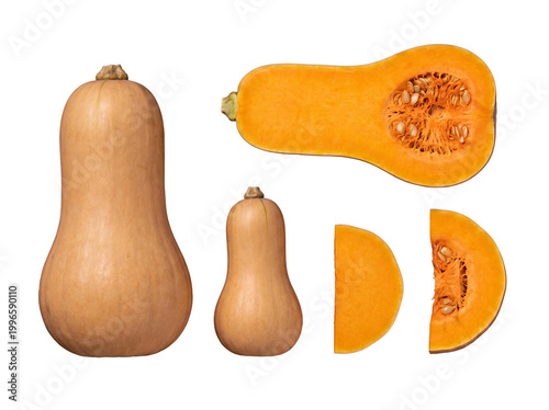 Whole and sliced butternut squash arranged on a transparent background.