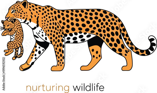 Mother leopard carrying her small cub in her mouth representing nurturing wildlife and maternal animal instinct concept