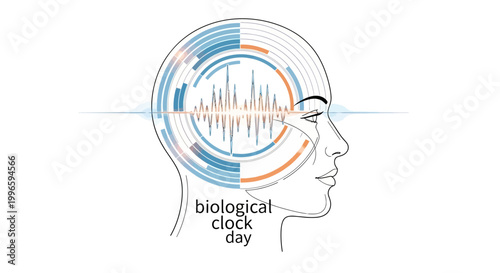 Conceptual vector illustration displaying the internal biological clock in a side profile of a human head, featuring a sleep cycle illustration and circadian rhythm infographic