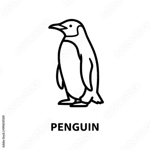 Penguin line art illustration