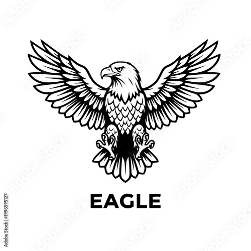 Eagle illustration