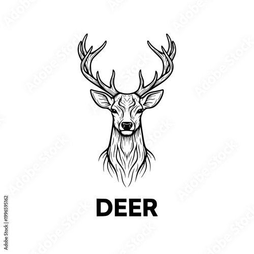 Deer Head Illustration