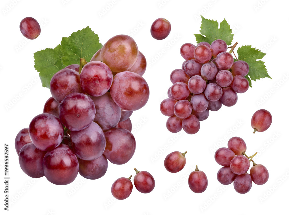 Fototapeta premium Assortment of fresh red grapes and leafy vines, plump and ready to eat, isolated on transparent background.