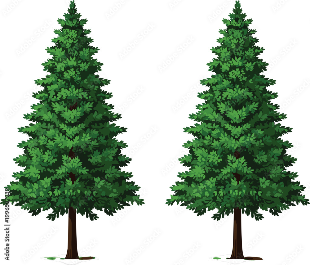 Fototapeta premium Realistic Pine Tree Vector Illustration, Evergreen Conifer Trees Set with Lush Green Foliage, Detailed Nature Elements Isolated for Forest and Landscape Design