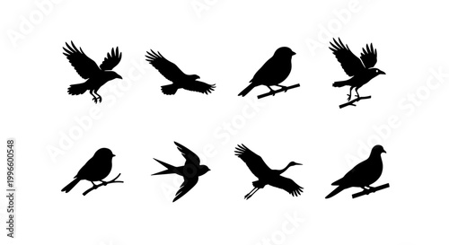 Fotografi Diverse Bird Silhouettes Collection, Avian Wildlife Icons, Feathered Creatures V