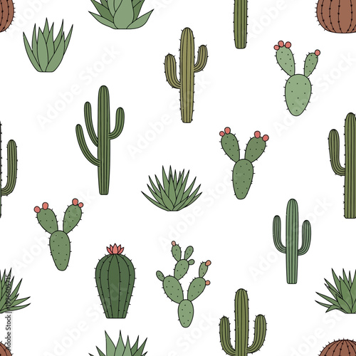 Cute Cactus Pattern