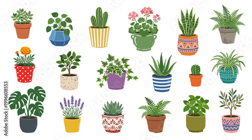 Collection of diverse potted houseplants and flowers in colorful decorative pots, showcasing a vibrant indoor garden and home decor style