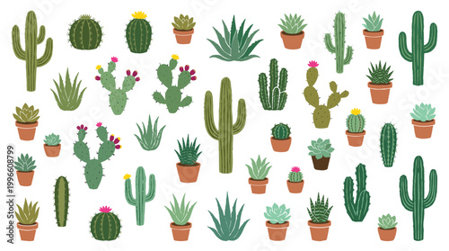 Diverse collection of various cactus and succulent plants in a flat illustration style, perfect for desert themes and botanical designs