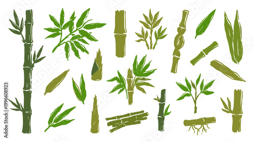 Collection of hand drawn bamboo elements including stalks leaves and sprouts in various green shades on a white background