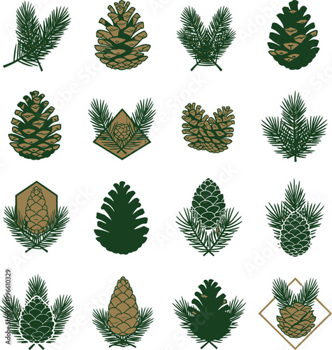Collection of various pine cones.