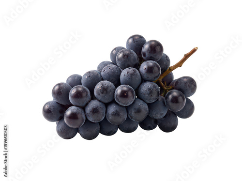 Ripe dark purple grapes cluster together on a woody stem with waxy bloom isolated transparent background image