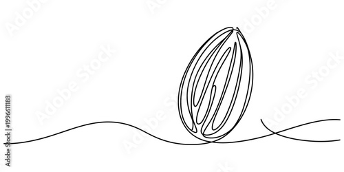 Continuous one line drawing of a single almond nut with organic shape and simple black outline style for healthy food design Vector, illustration