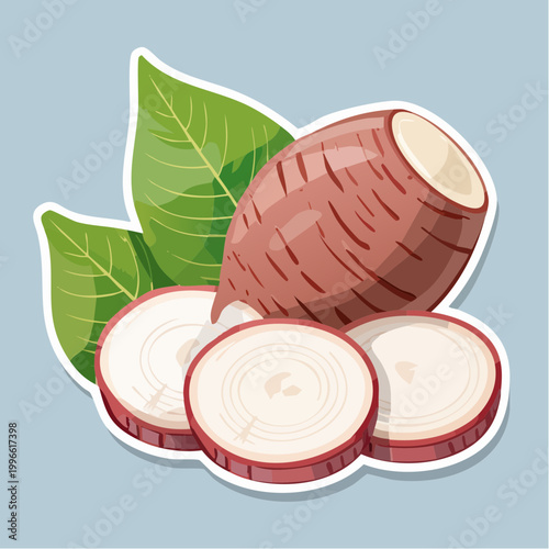 Taro Root Illustration