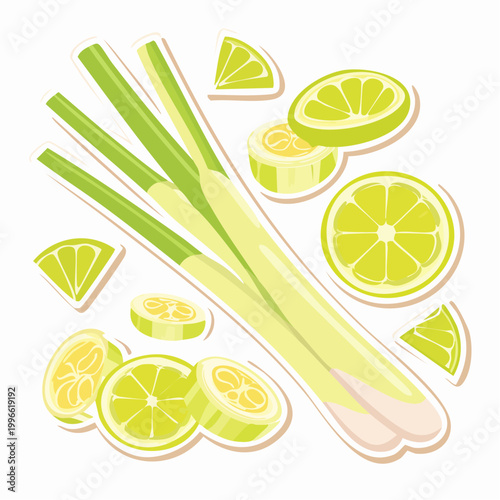 Lemongrass and Lime Slices Illustration