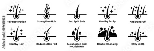 Hair treatment and care icon set vector. Anti dandruff, Anti Split Ends, Strengthen Hair, Healthy Scalp, Flaky Scalp, Gentle Cleansing, Reduces Hair Fall, Restoration, Moisturise and Nourish Hair.