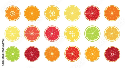 Set of Colorful Cartoon Citrus Fruit Slices Orange Grapefruit Lemon Lime in Flat Design