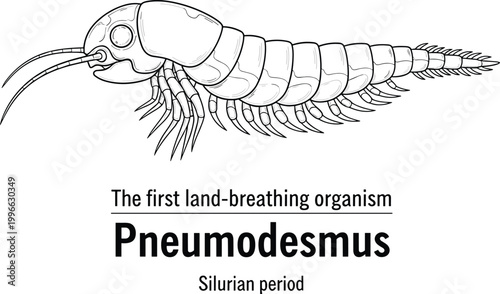 Pneumodesmus ancient arthropod extinct creature drawing.