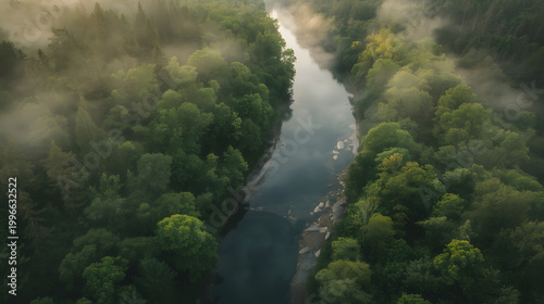 Aerial View of River Flowing Through Lush Forest
