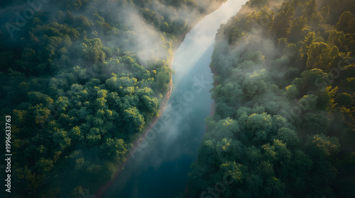 Aerial View of River Flowing Through Lush Forest