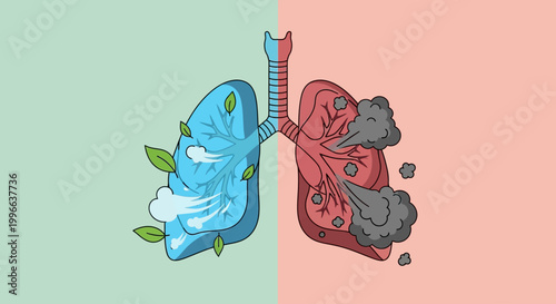 Healthy vs Smoker Lungs Comparison Illustration with Fresh Air and Cigarette Smoke for World No Tobacco Day