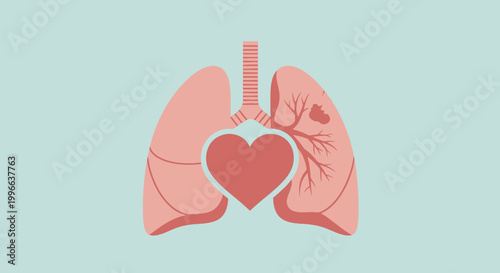 Human Lungs and Heart Medical Illustration Showing Smoker Lung Damage for World No Tobacco Day Awareness