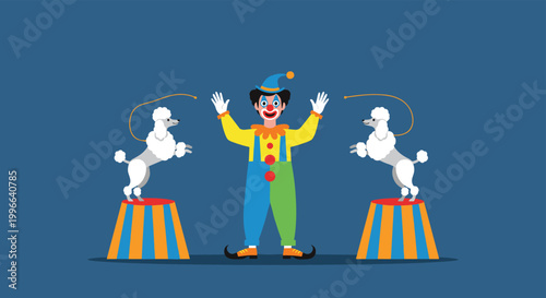 Circus clown in colorful costume performing with two white poodles on circus pedestals against dark blue background.
