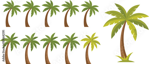 Cartoon palm tree collection with tropical coconut trees in different shapes for summer beach and island landscape vector illustration