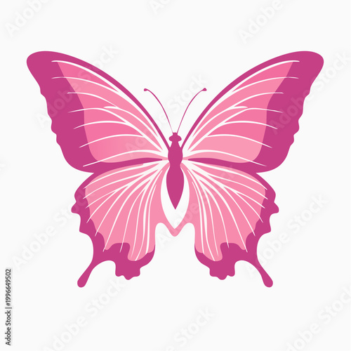 Pink Butterfly Illustration