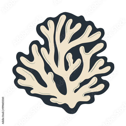 vector illustration of a reef