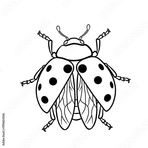 Black and white ladybug line art illustration with clean detailed outline, ideal for coloring pages, educational material, logo design, and minimalist insect graphics