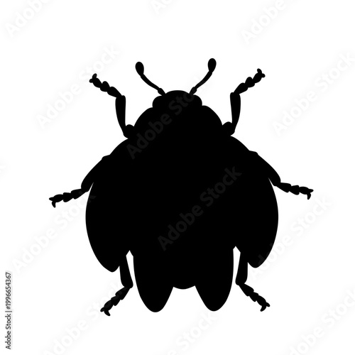 Black ladybug silhouette illustration with bold shape and clean edges, ideal for logos, icons, stencil design, and simple insect graphics isolated on white background