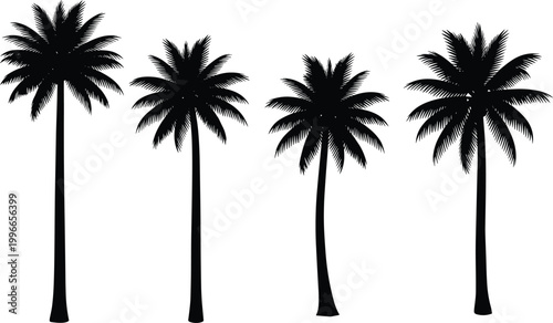 Set of palm tree silhouettes, tropical nature vector illustration for summer, beach, island, and vacation design use