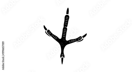 Black Bird Footprint Isolated on White Background.