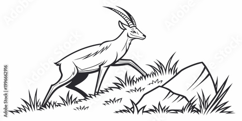 Photos a pronghorn antelope standing on a grassy hill Vector