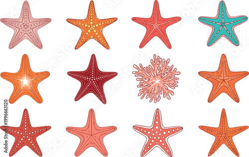 Starfish collection with colorful sea stars in various patterns and textures for ocean, marine life, and beach illustration design
