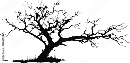 Bare leafless dead tree silhouette with twisted branches isolated on white background environment nature vector illustration.