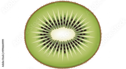 Close up of a fresh kiwi fruit slice showing its vibrant green flesh and black seeds.