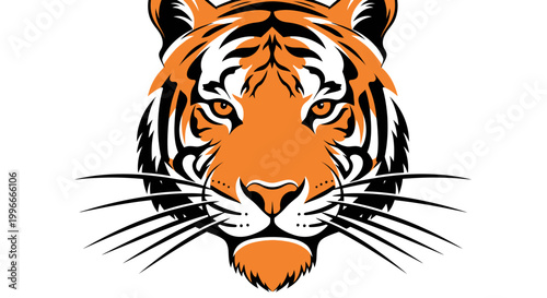 Close up of tiger face portrait.