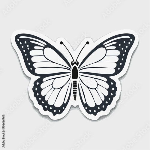 Monarch Butterfly Illustration