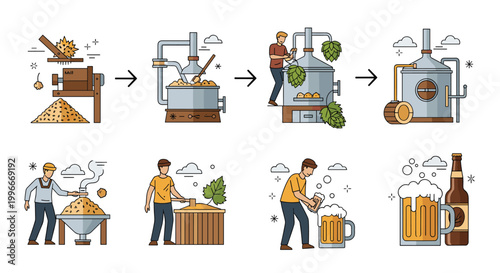 Comprehensive infographic showing the stages of the beer brewing process from raw grain milling to fermentation and final bottling.