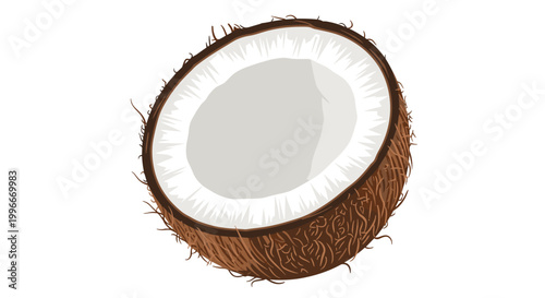 Close up illustration of a halved coconut showing its pure white flesh and hairy brown outer shell on white background.