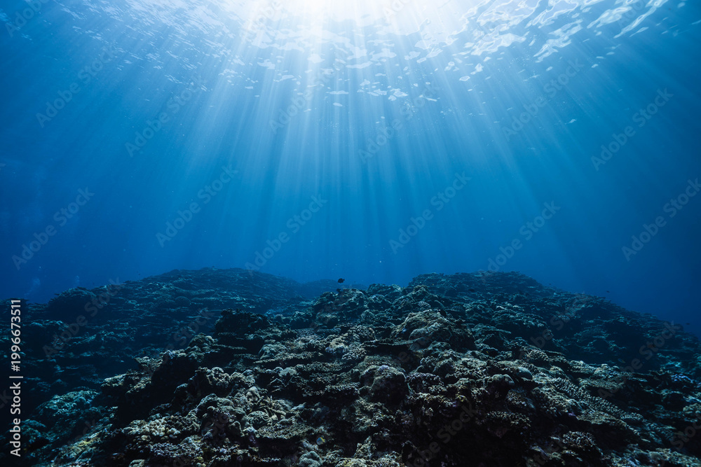 Fototapeta premium Sunburst Above Ocean Surface With Light Rays Underwater