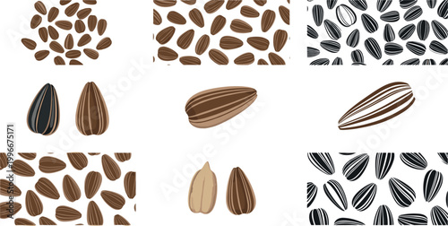 Sunflower seeds collection with seamless patterns and hand drawn seed illustrations for food packaging, snack branding, and agricultural design