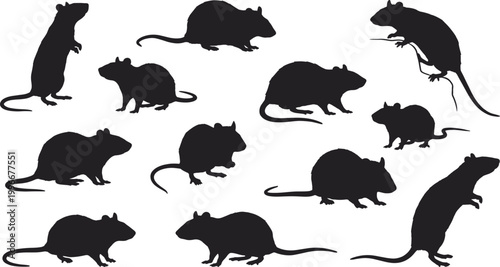 Rat silhouette vector collection, black rodent poses, animal anatomy, nature theme, pest identification, biological illustration, movement graphics